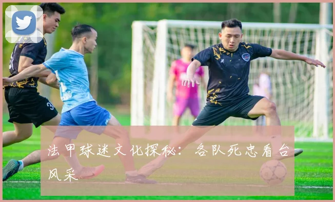 法甲球迷文化探秘：各队死忠看台风采